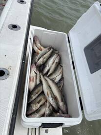 Oak Harbor Report Photo 2