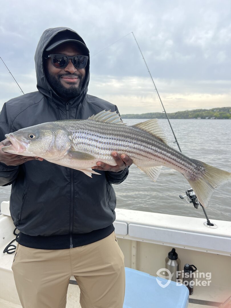 Saugerties Report Photo 0
