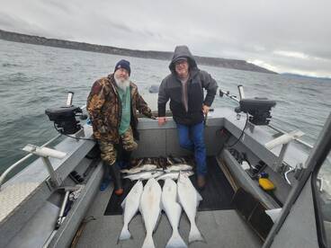 Nice mixed bag today