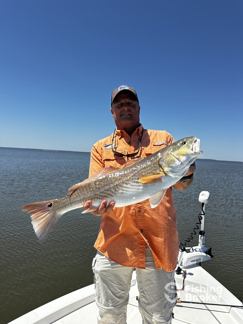 Jekyll Island Report Photo 0