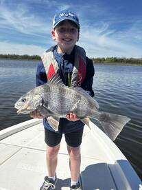 Jekyll Island Report Photo 1