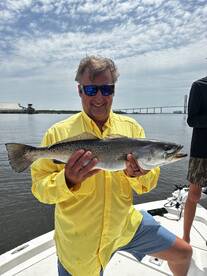 Jekyll Island Report Photo 2