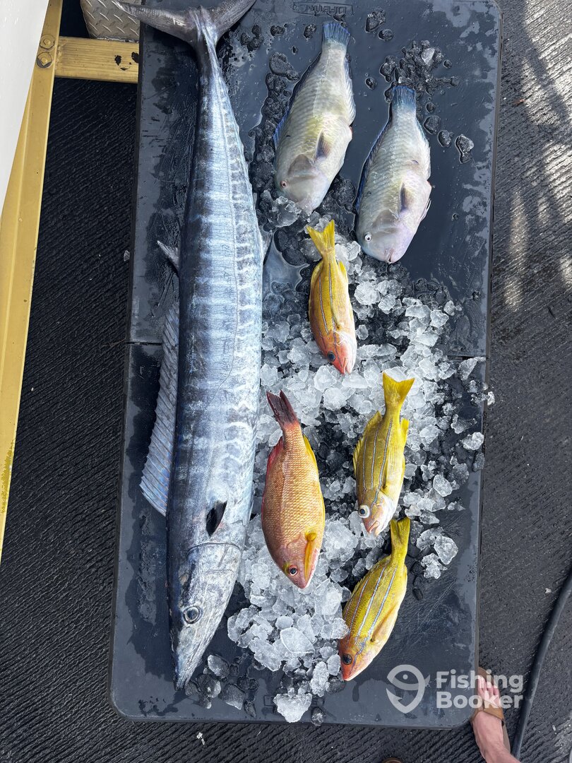 Kailua-Kona Report Photo 0