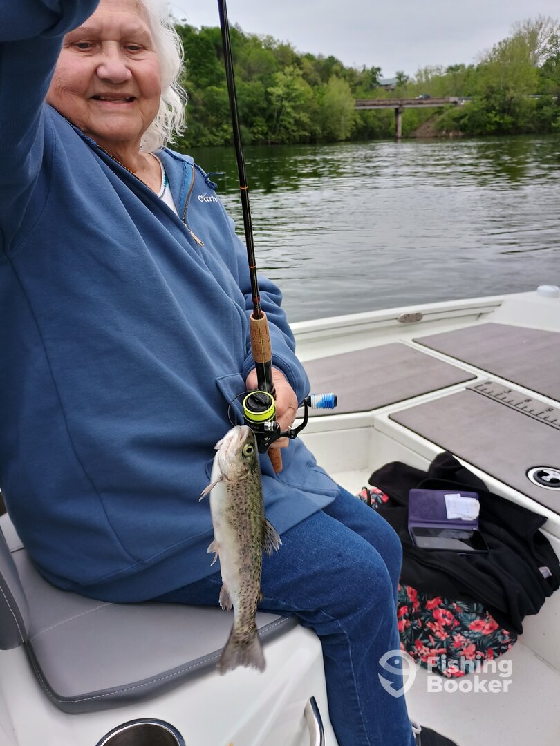 Branson Report Photo 0