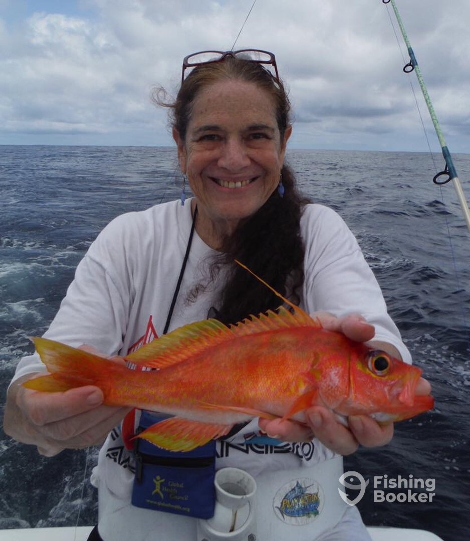 Quepos Report Photo 0