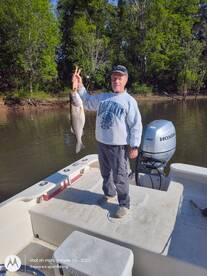 Still catching stripers!!