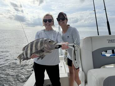 Last of the Sheeps, First of the Cobia