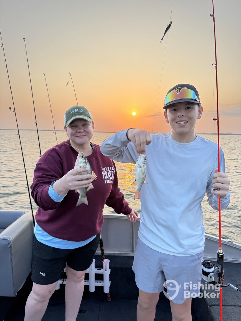 Lake Dallas Report Photo 0