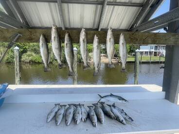Trout SMACKDOWN!!