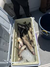 Port Clinton Report Photo 2