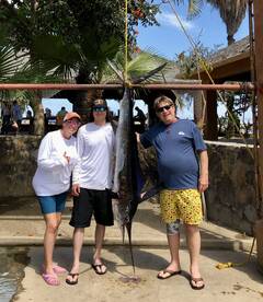 San Jose del Cabo Report Photo 1