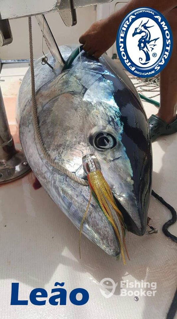 And the all time best lure strikes again... Fronteira LEÃO.... awesome lure...