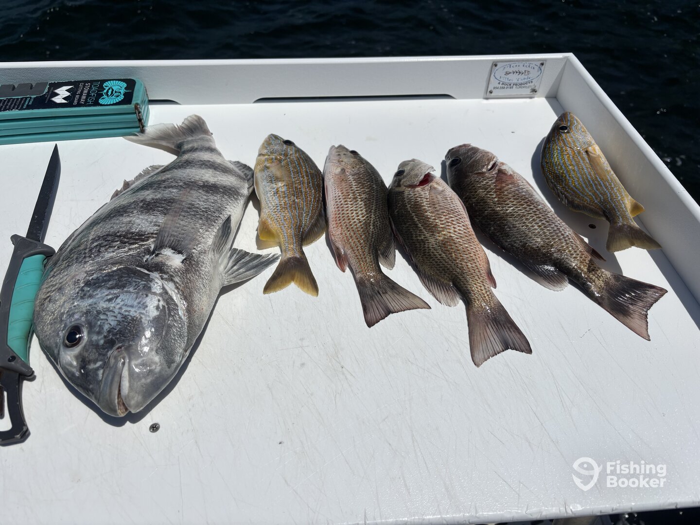 Key Largo Report Photo 0