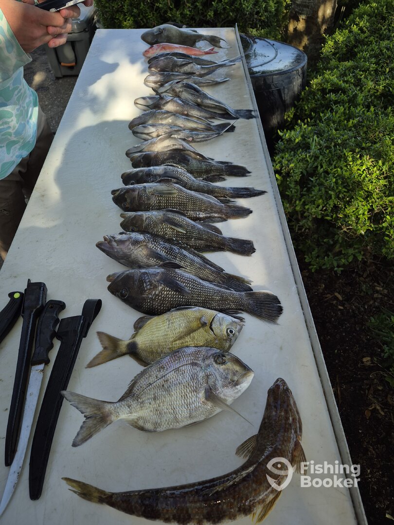 St. Marys Report Photo 0