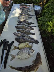 Spring bite is getting hot ?. 