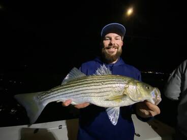 Stripers
