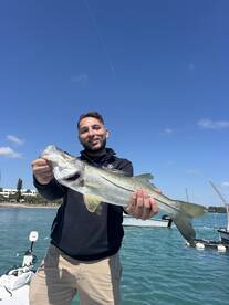 Snook Fishing Getting Hot