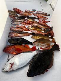 Huntington Beach Report Photo 1