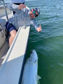 Tarpon are in Boca Grande!