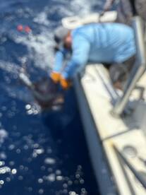 3/4  day on board of cooyte tres 