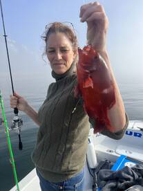 Cape Town Report Photo 2