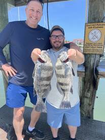 Blackened drum tacos