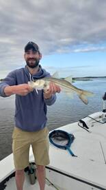 Snook!