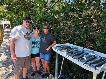 Macks attack and sharks 