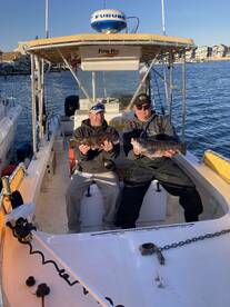 Blackfish season ending fluke season sta
