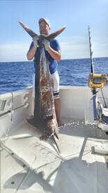 First billfish