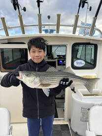 Saugerties Report Photo 1