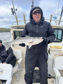 Saugerties Report Photo 2