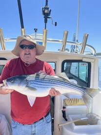 Saugerties Report Photo 1