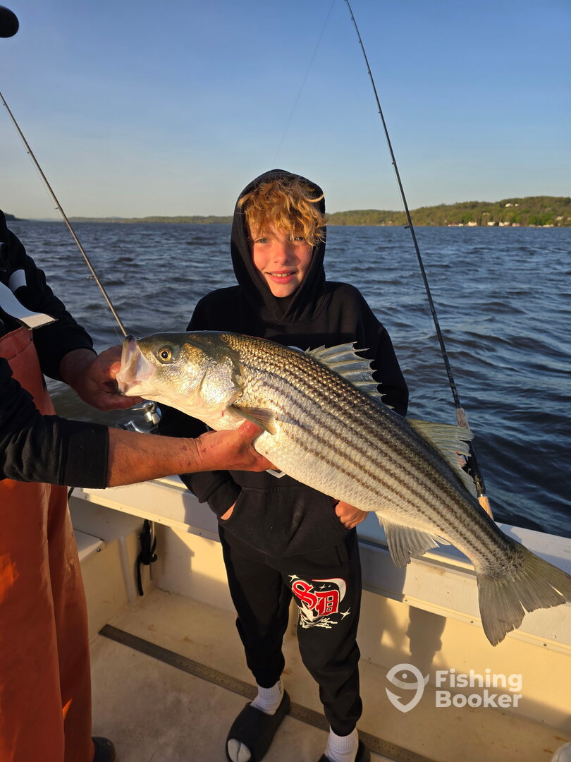 Saugerties Report Photo 0