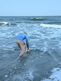 Murrells Inlet Report Photo 2