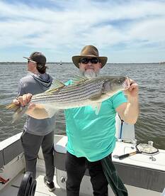 Super Afternoon Bass Action