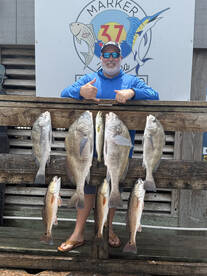 Drag pullers! Reds and Blacks! Quick tri