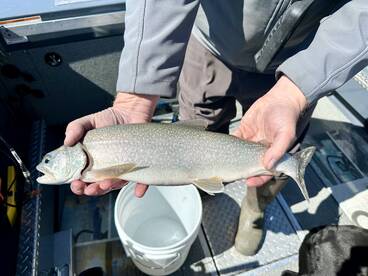 Wyoming Report Photo 3