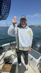San Diego Report Photo 1