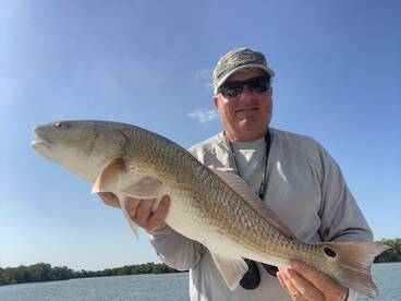 Goodland Report Photo 1