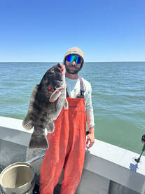 Virginia Beach Report Photo 2