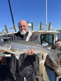 Saugerties Report Photo 1
