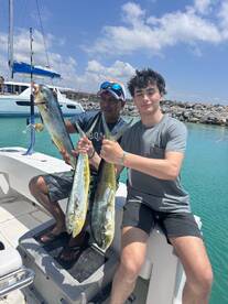 Mahi mahi season 