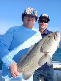 Dome nice groupers are biting now !