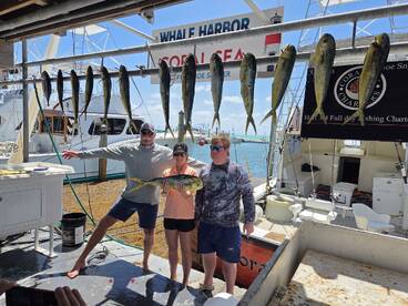 Mahi fishing is really good in islamorad