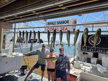 Islamorada Report Photo 1