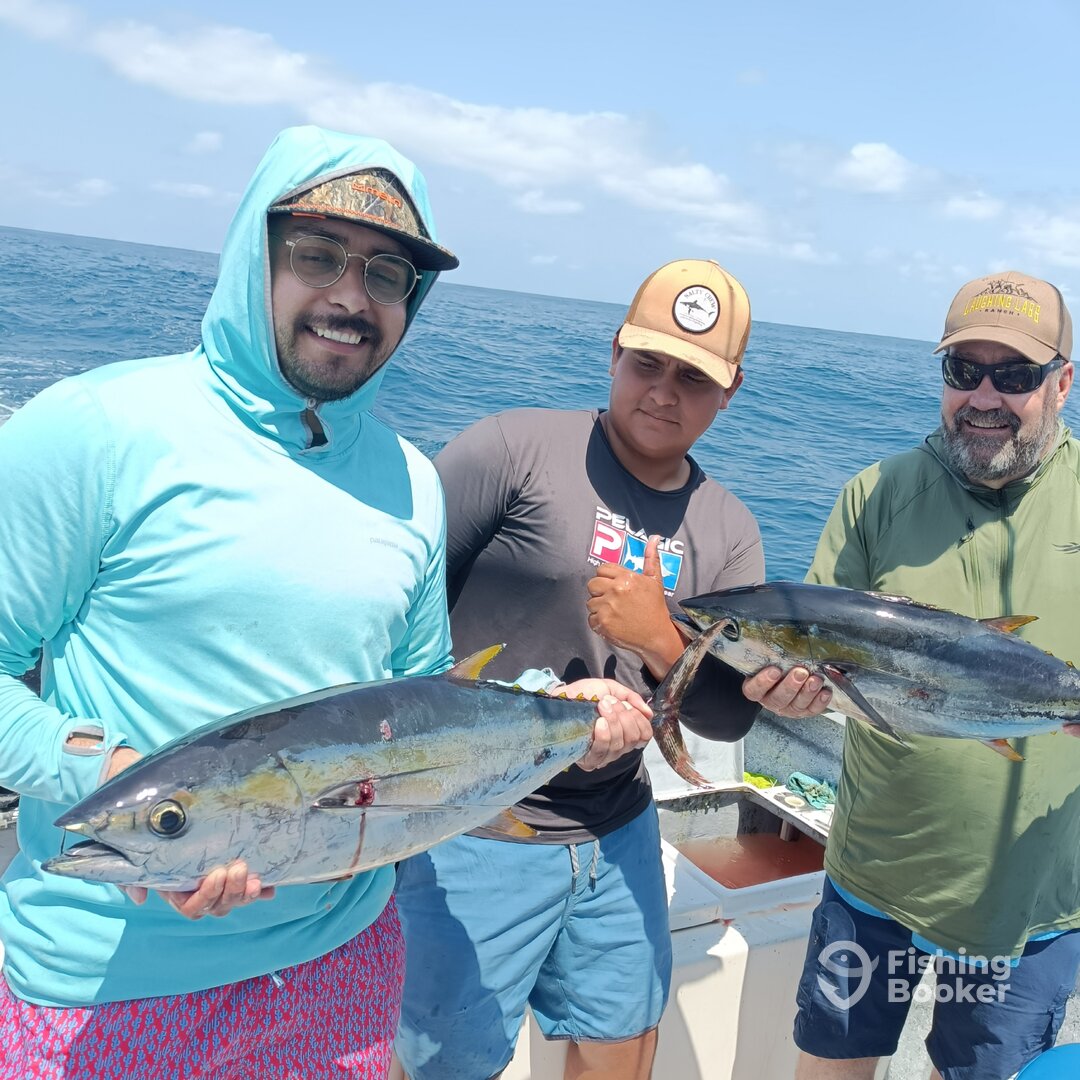 Puerto Vallarta Report Photo 0