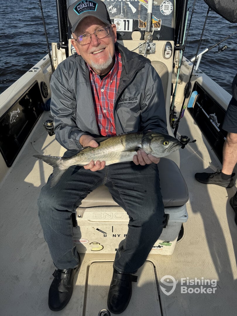 New Bern Report Photo 0