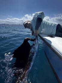 2nd sailfish!