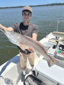 Savannah Report Photo 2